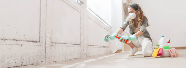 Environmental Consulting for Mold Prevention